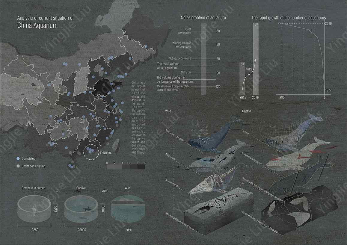 作品刘莹洁 Yingjie (6)