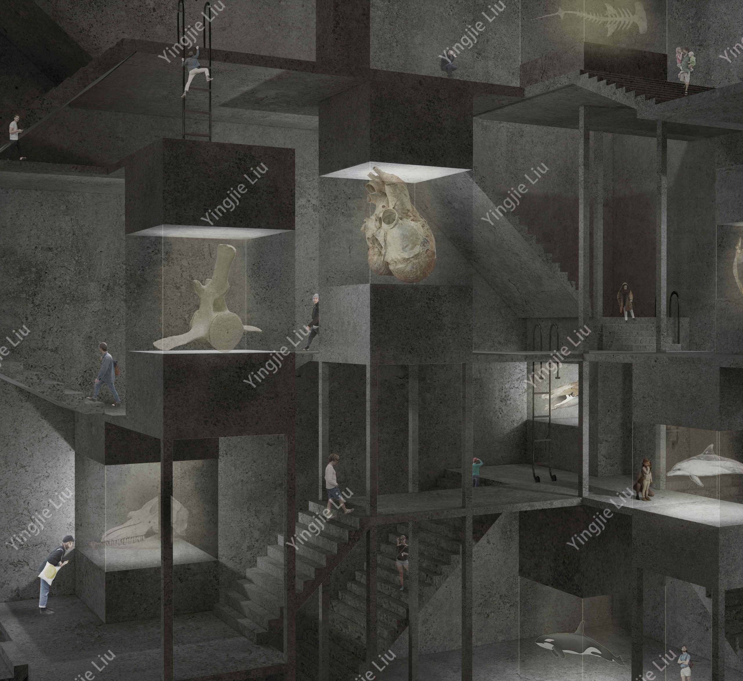 作品刘莹洁 Yingjie (9)