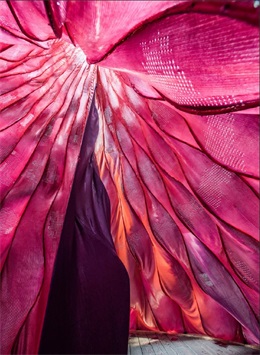 作品张一苇 W叔 (5)