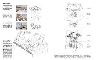 作品郑子非 Hazel (4)