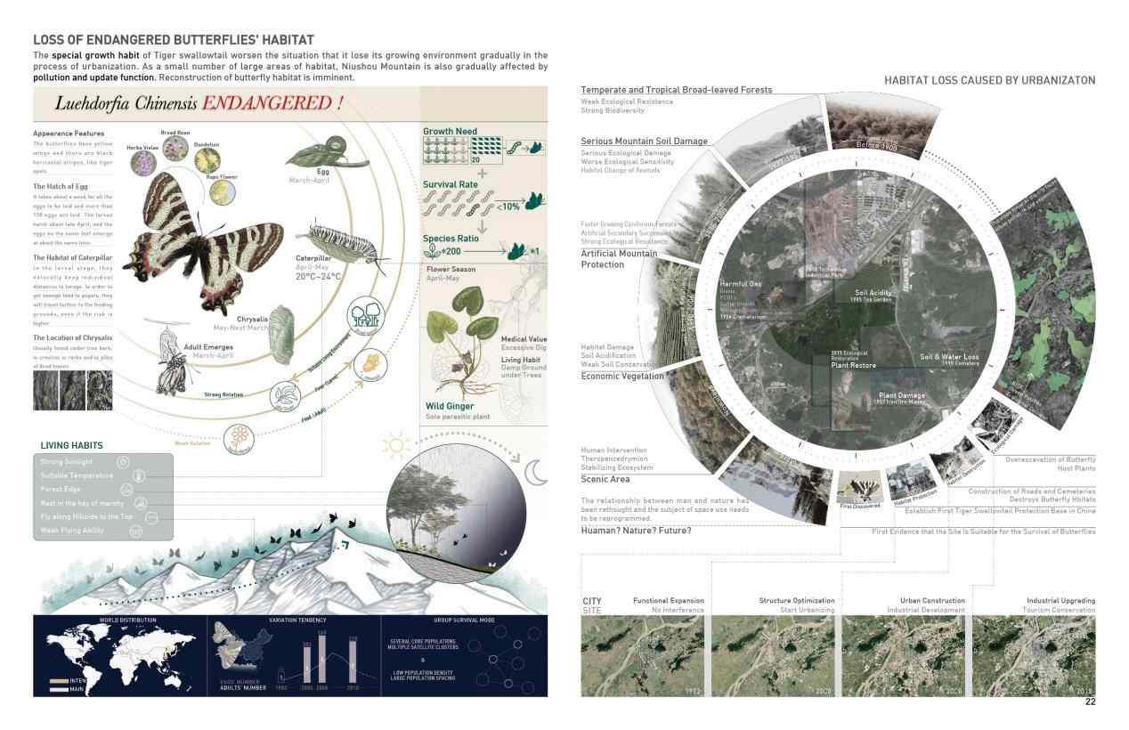 作品陈天啸 Caeser (3)
