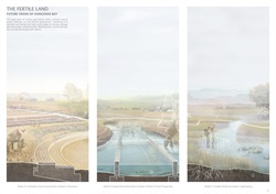 作品黄思畅 Chaaaaang (3)